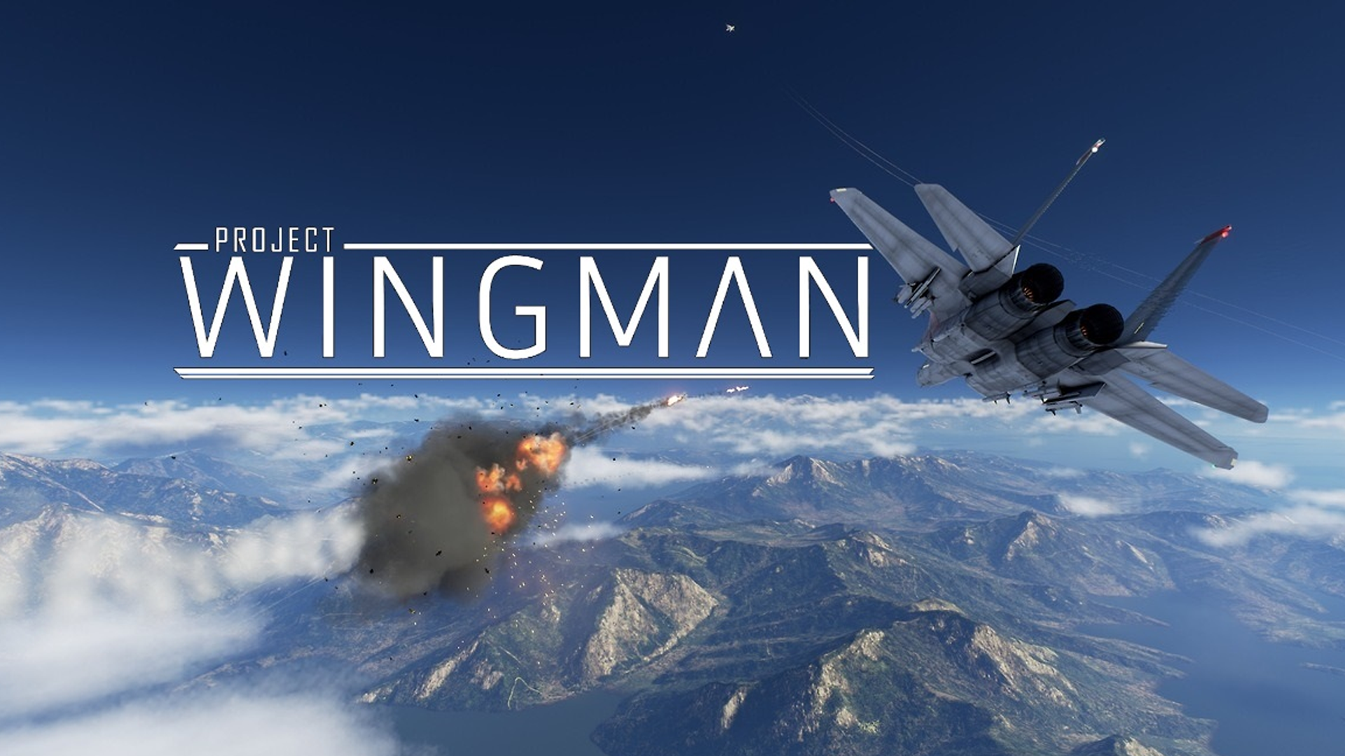 download project wingman game
